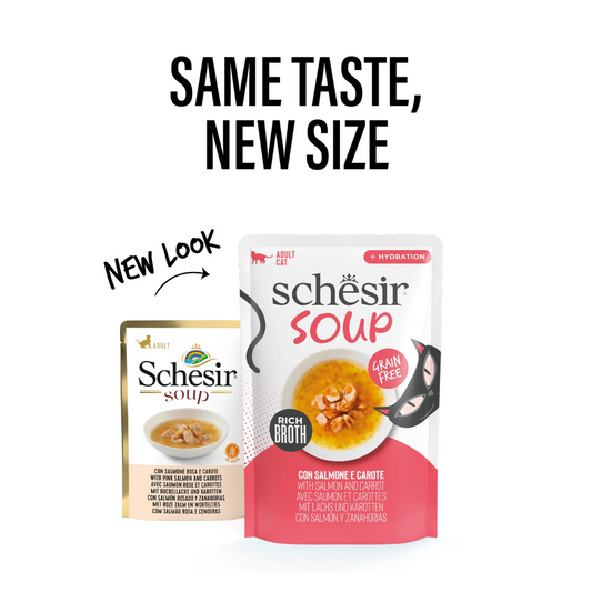 Schesir Soup Salmon with Carrot | Grain Free | Rich Broth | Adult Cat | 12 x 40g