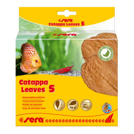 Sera Catappa Leaves S (10pcs) | Small Almond Leaves for Nano Aquariums