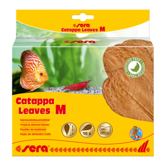 Sera Catappa Leaves M (10pcs) | Natural Leaves for Aquarium Water Conditioning