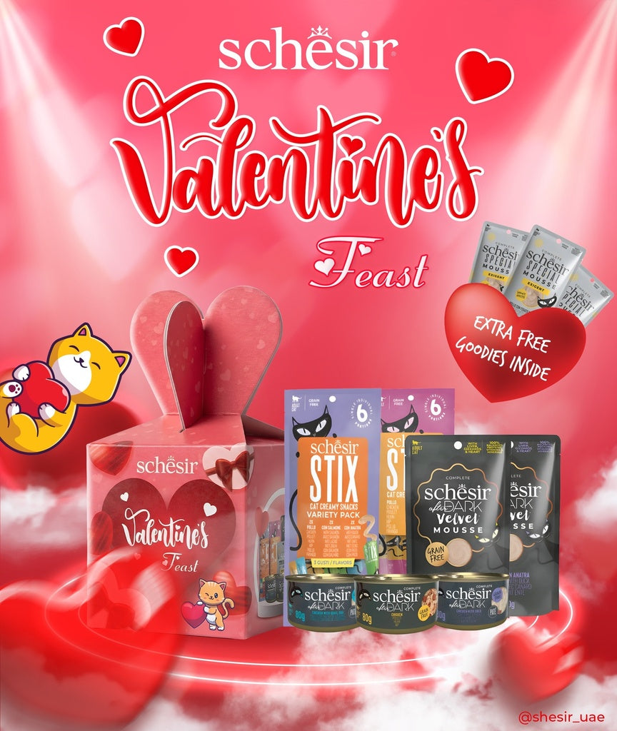 Schesir After Dark Valentine's Feast '26 Gift Pack for Cats | Limited Edition | Complete Wet Food & Creamy Snacks | 1050g