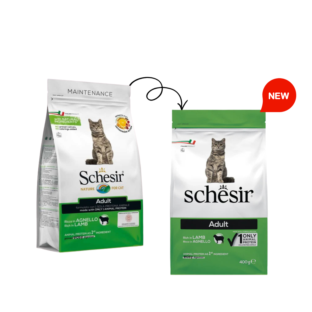 Schesir Cat Dry Food Lamb | Adult Cat | Maintenance Formula | Complete & Balanced Nutrition | 400g
