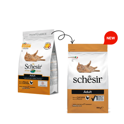 Schesir Cat Dry Food Adult Chicken | Maintenance Formula | Complete & Balanced Nutrition | Natural Ingredients | 400g