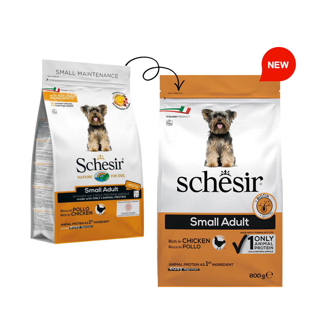 Schesir Dog Dry Food Chicken | Small Breed Adult Dog | Maintenance Formula | Complete & Balanced Nutrition | Natural Ingredients | 800g