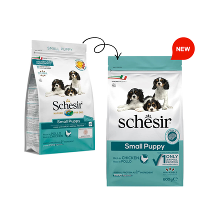 Schesir Small Puppy Dry Food with Chicken | Single Protein | Mini-Kibble | Easy Digestion | 800g