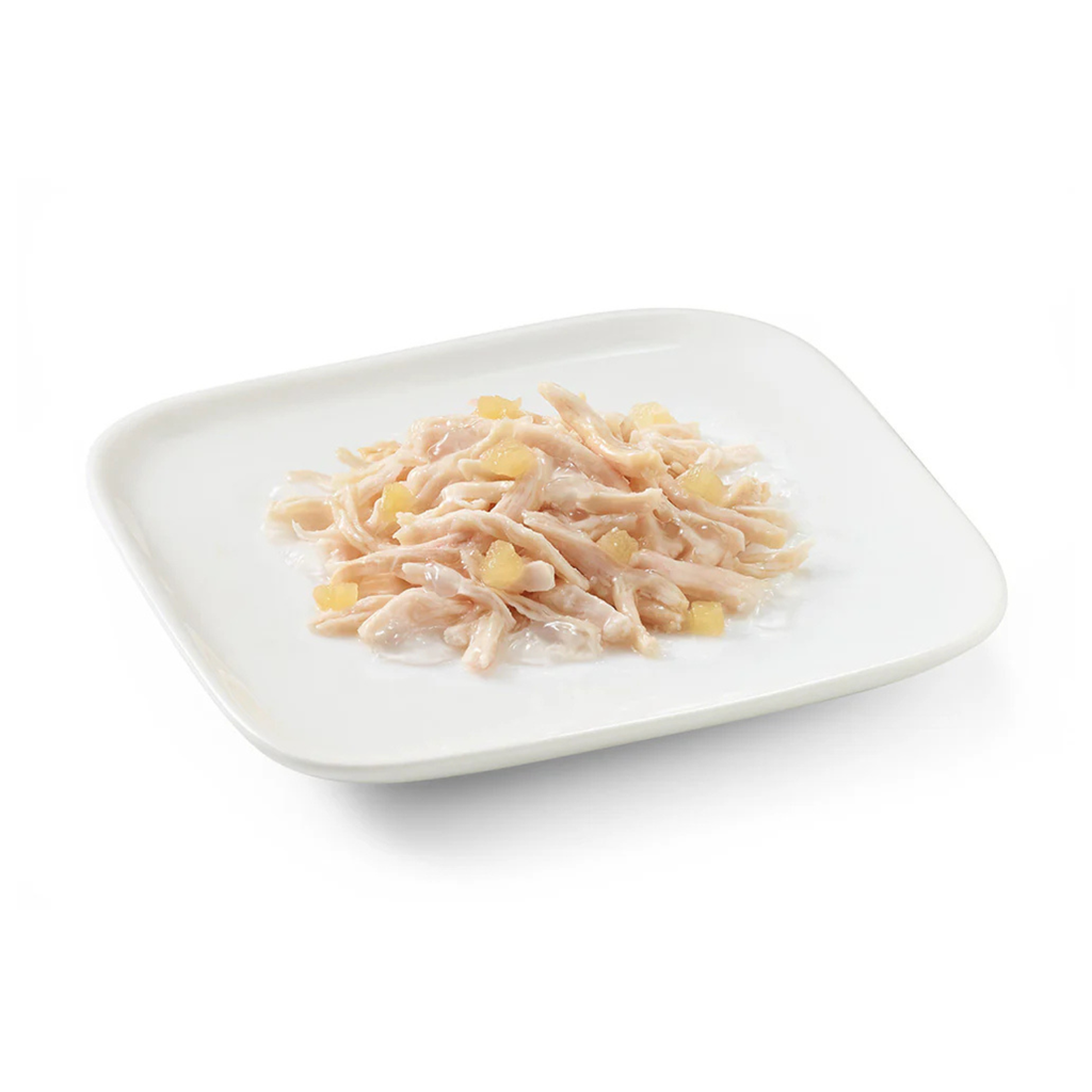 Schesir Dog Wet Food Chicken Fillets with Apple | Adult Dog | Complementary | Natural Ingredients | 150g