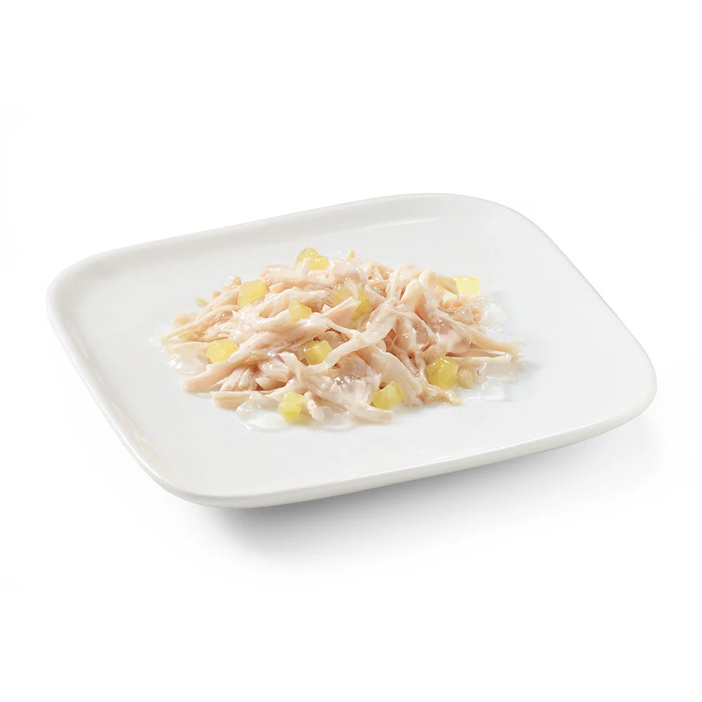 Schesir Dog Wet Food in Jelly Chicken with Pineapple | 62.2% Chicken | Complementary Food | Adult Dog | 150g