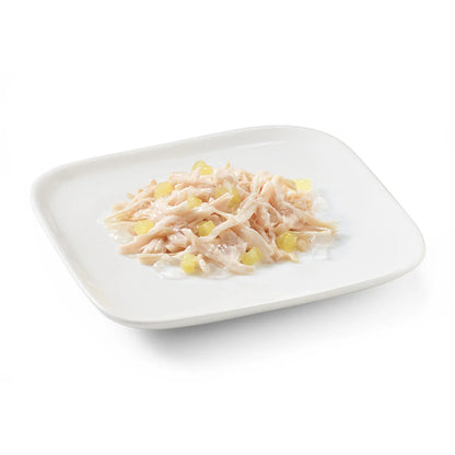 Schesir Dog Wet Food in Jelly Chicken with Pineapple | 62.2% Chicken | Complementary Food | Adult Dog | 150g