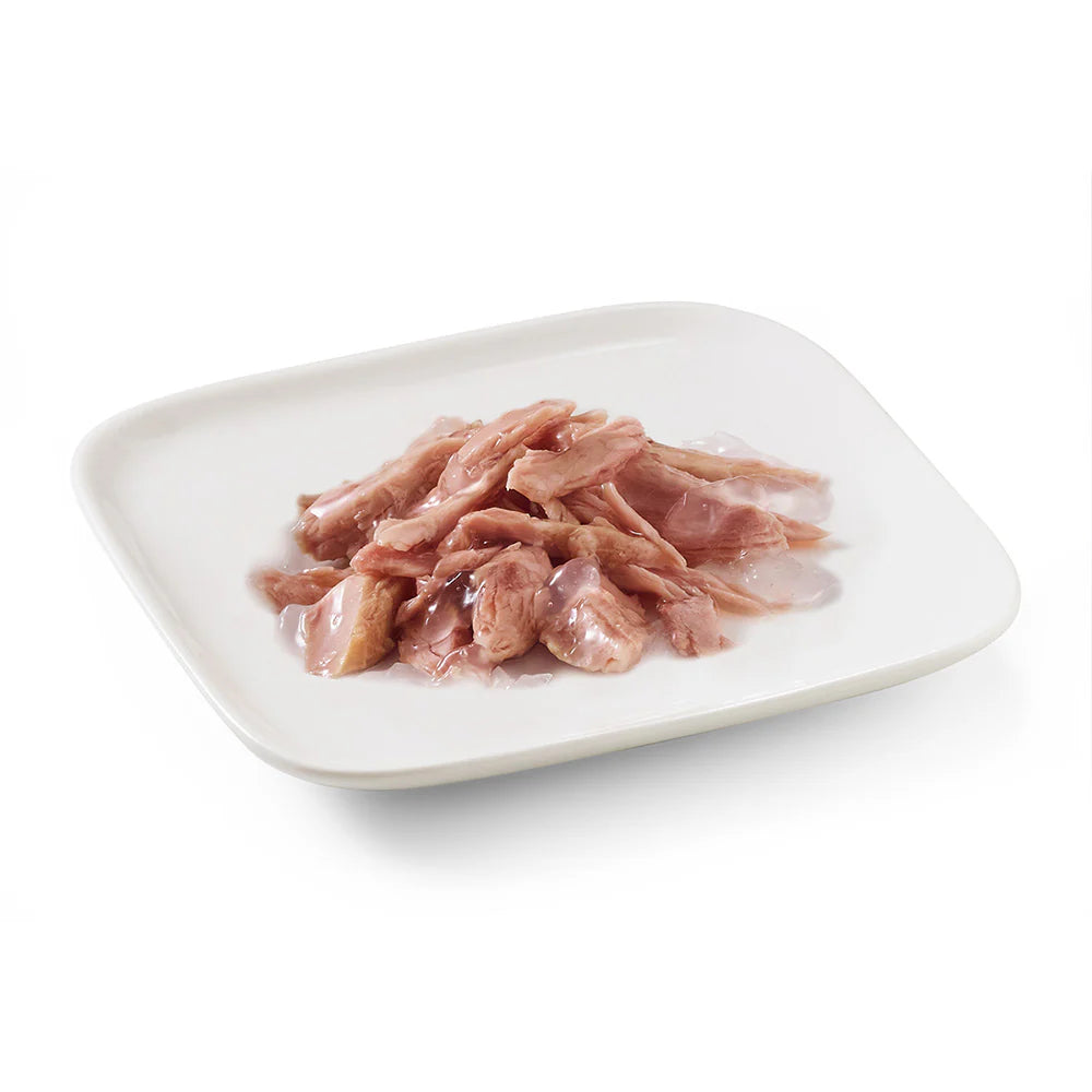 Schesir Dog Wet Food in Jelly Tuna | 56% Tuna | Complementary Food | Adult Dog | 150g