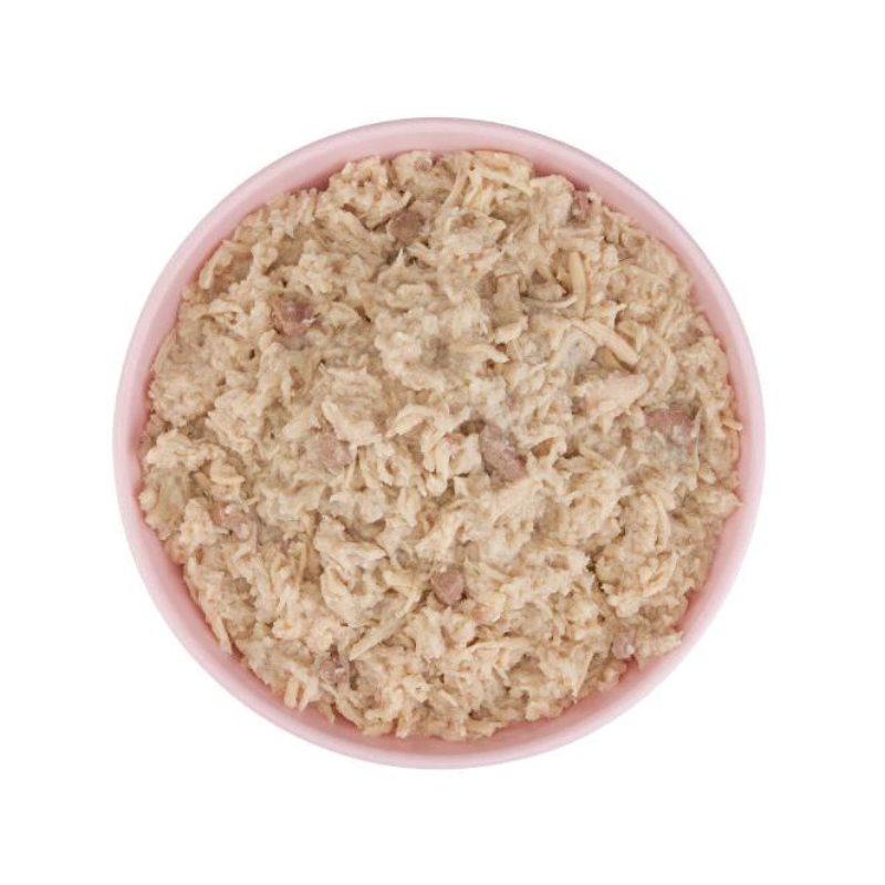 Schesir Baby Kitten Wholefood Chicken with Salmon | With DHA | Complete | Grain Free | Kittens | 12x70g