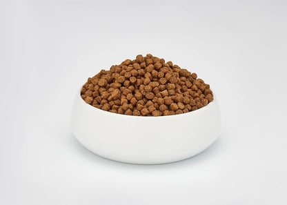 Schesir Adult Maintenance Dry Food with Chicken | For Cat | Single Protein | Only Animal Protein | Easy Digestion | 1.5kg-10kg