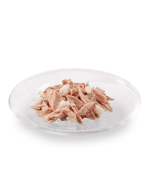 Schesir Cat Wet Food Tuna with Mahi Mahi | Adult Cat | Complementary | Natural Ingredients | 14x85g