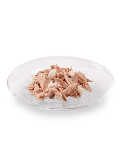 Schesir Cat Wet Food Tuna with Mahi Mahi | Adult Cat | Complementary | Natural Ingredients | 14x85g