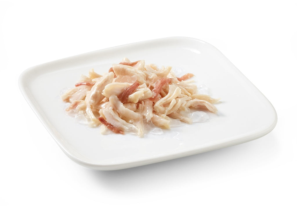 Schesir Dog Wet Food Chicken Fillets with Beef | Adult Dog | In Jelly | Complementary | 150g