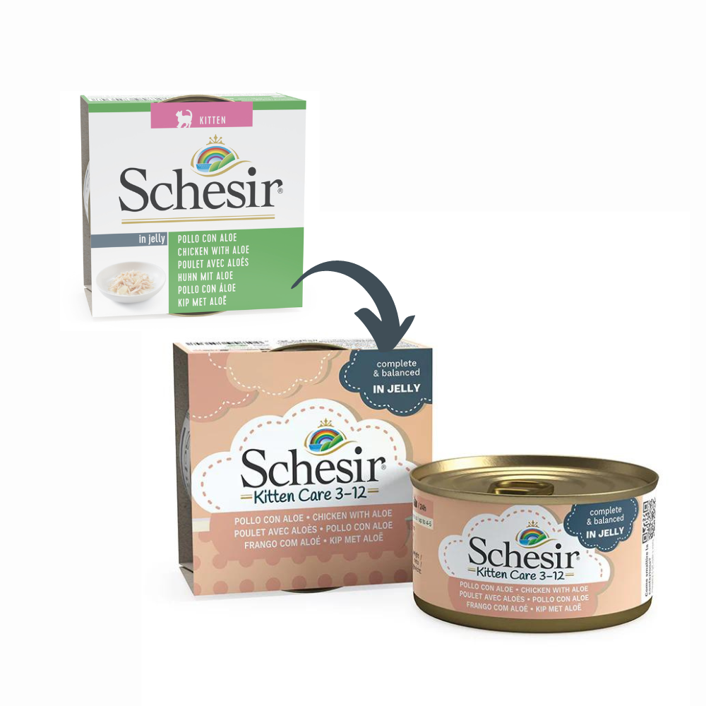 Schesir Kitten Care 3-12 Chicken with Aloe in Jelly | Complete & Balanced | Kitten Food | 14x85g