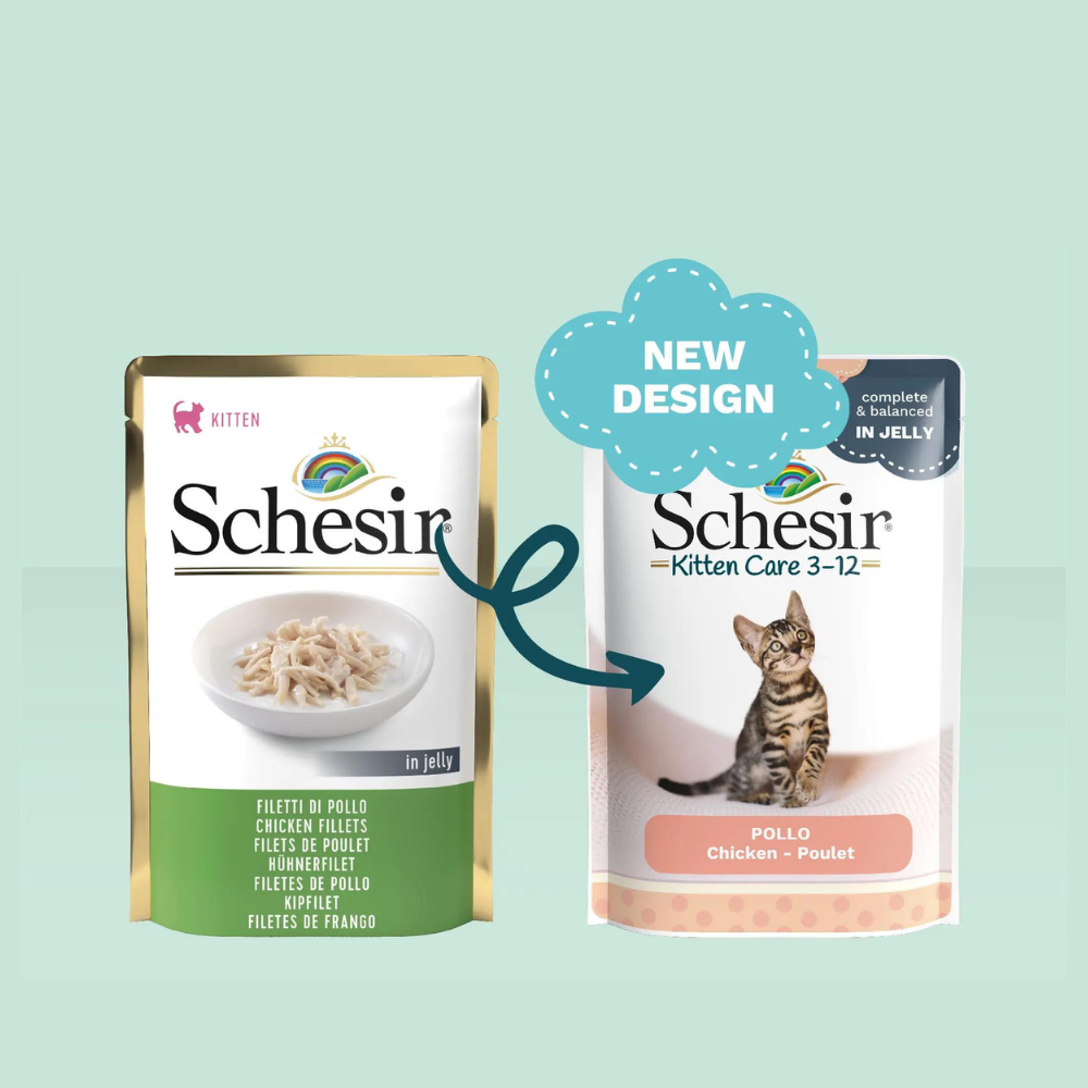 Schesir Kitten Care 3-12 Chicken in Jelly | Complete & Balanced | Kitten Food | 20x85g