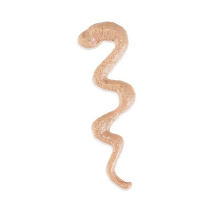 Schesir Stix Chicken | Creamy Cat Snacks | Single-Serve | Grain Free | 6x15g