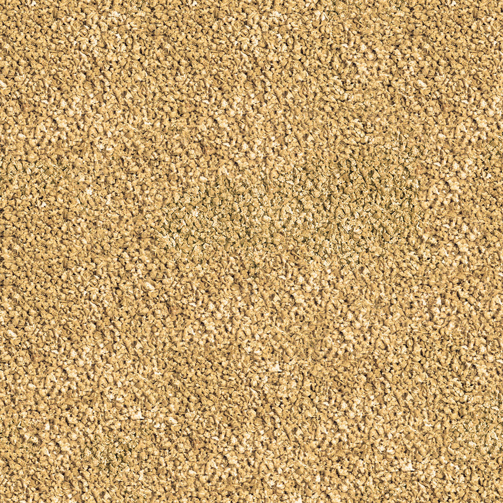 Sera Betta Granules 50ml | Slow-Sinking Soft Granules for Betta Fish