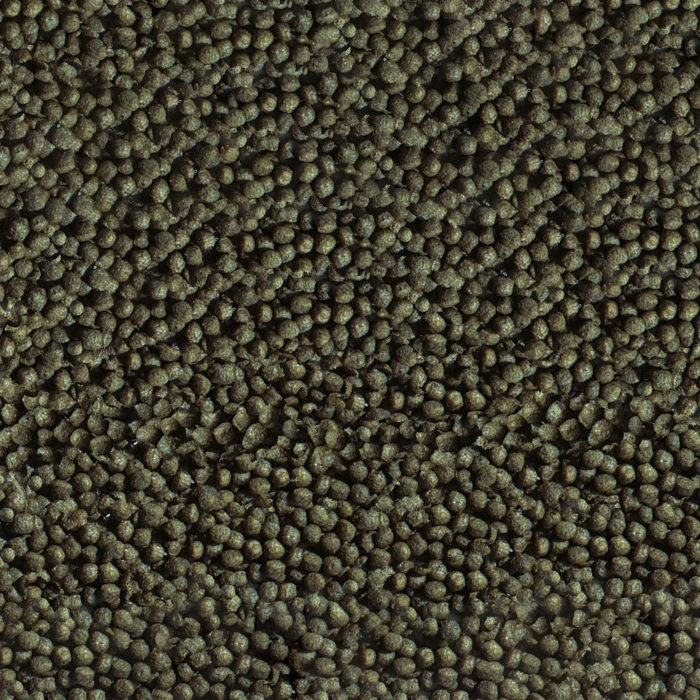 Sera Gold Fish Color Granules 250ml (90g) | Spirulina-Enriched Color Food
