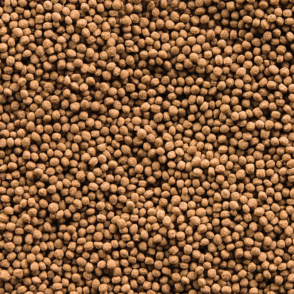 Sera Goldy Granules Nature 1000ml | Granules for Medium & Large Goldfish