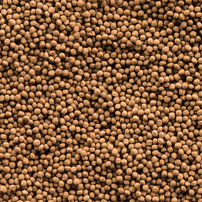 Sera Goldy Granules Nature 1000ml | Granules for Medium & Large Goldfish
