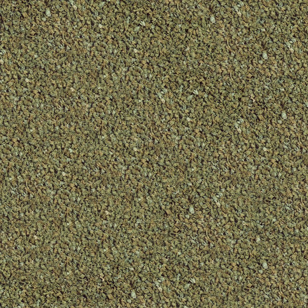 Sera Guppy Granules 100ml | Plant-based Granules for Guppies & Livebearers