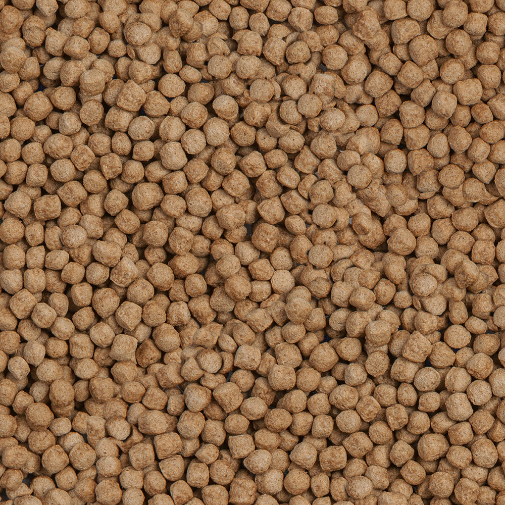 Sera Koi Royal Medium Nature 1000ml | Floating Granules for Small & Medium Koi
