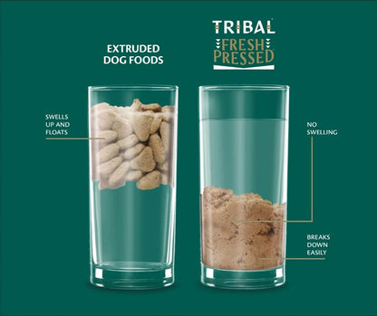 Tribal Fresh Chicken Cold Pressed Dog Food | Meat Meal Free | Grain Free | Hypoallergenic | Adult All Breeds | 2.5kg-12kg