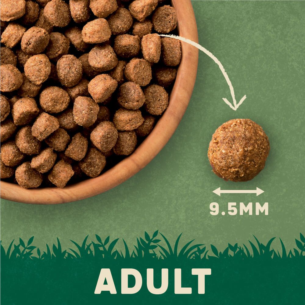 Harringtons Adult Chicken & Rice Dry Dog Food | High Meat | Freshly Prepared Chicken | Complete Nutrition | 1.7kg-4kg