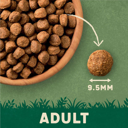 Harringtons Adult Chicken & Rice Dry Dog Food | High Meat | Freshly Prepared Chicken | Complete Nutrition | 1.7kg-4kg