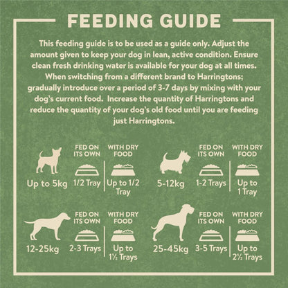 Harringtons Adult Salmon Grain Free Wet Dog Food | 65% Freshly Prepared Salmon | With Potato & Vegetables | 400g