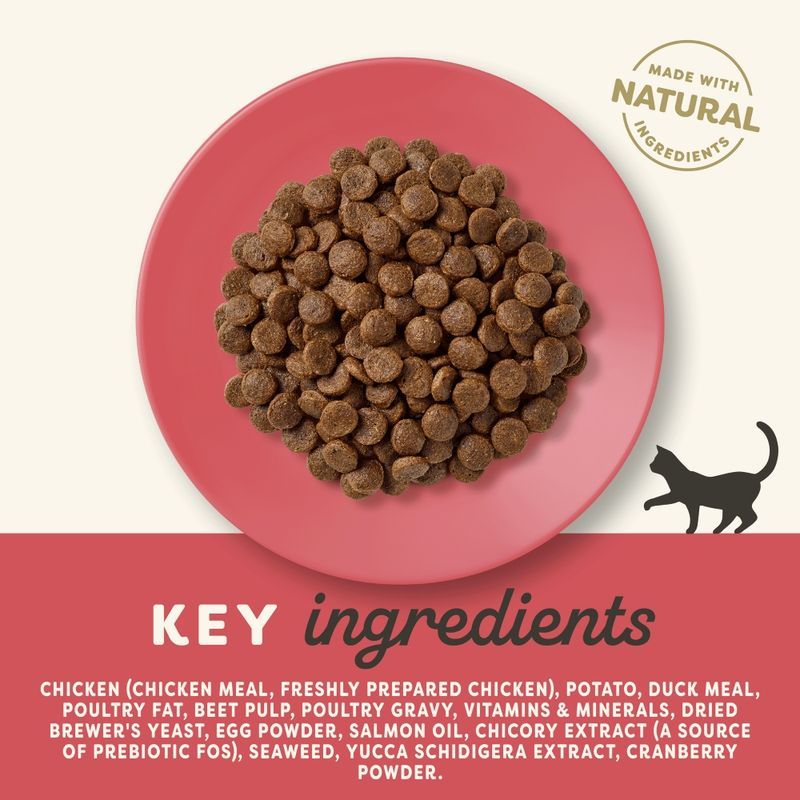 Applaws Complete & Balanced Dry Cat Food for Adults | Chicken with Duck Recipe | 80% Animal Protein, Grain-Free | with Prebiotic | 2kg