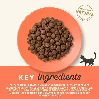 Applaws Complete & Balanced Dry Cat Food for Adults | Chicken with Salmon Recipe | 80% Animal Protein, Grain-Free | with Prebiotic | 2kg