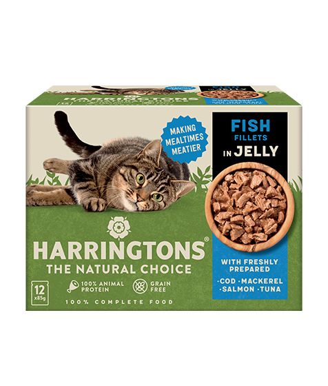 Harringtons Fish Selection in Jelly Wet Cat Food | 80% Freshly Prepared Fish | 100% Animal Protein | Grain Free | 12x85g