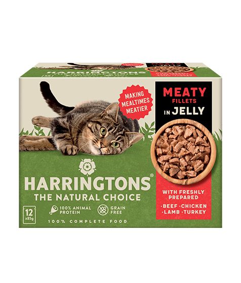 Harringtons Meaty Selection in Jelly Wet Cat Food | 80% Freshly Prepared Meat | Grain Free | Complete Adult |  12x85g