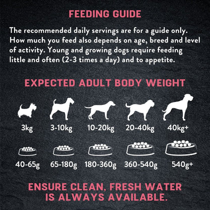 Harringtons Just 6 Salmon Grain Free Dry Dog Food | 50% Salmon | 6 Ingredients | Fresh Baked Bites | Resealable | 2kg-12kg