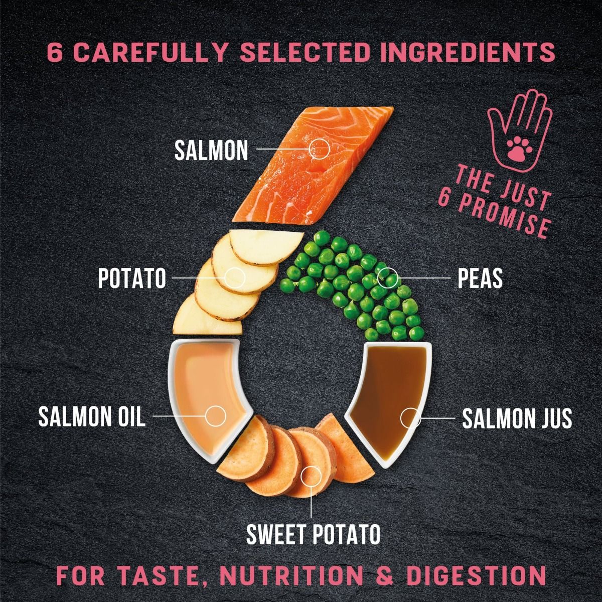 Harringtons Just 6 Salmon Grain Free Dry Dog Food | 50% Salmon | 6 Ingredients | Fresh Baked Bites | Resealable | 2kg-12kg