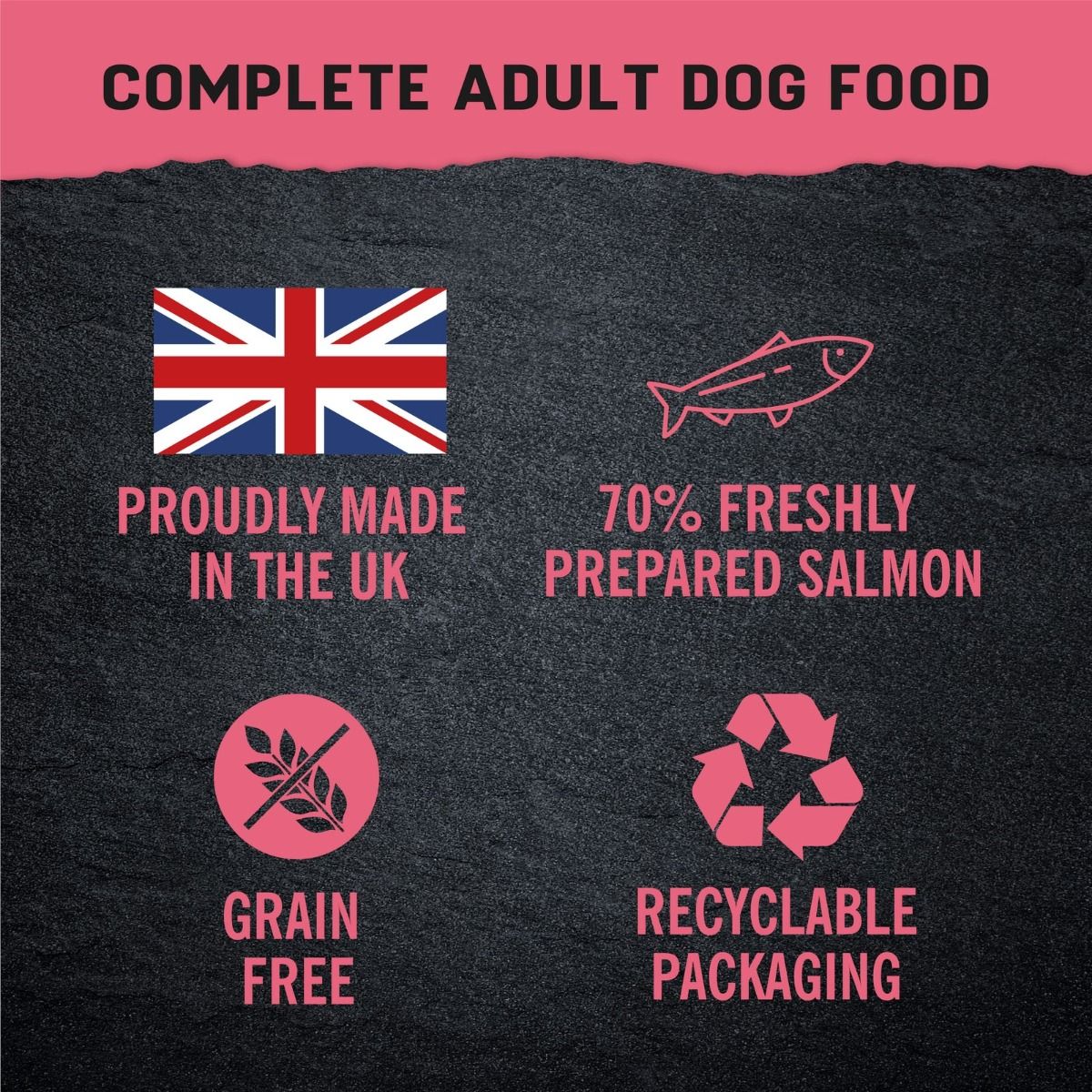 Harringtons Just 6 Salmon Grain Free Wet Dog Food | 70% Freshly Prepared Salmon | 6 Ingredients | Complete Adult | 380g