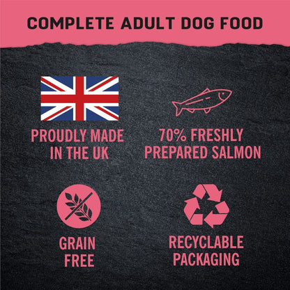 Harringtons Just 6 Salmon Grain Free Wet Dog Food | 70% Freshly Prepared Salmon | 6 Ingredients | Complete Adult | 380g