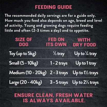 Harringtons Just 6 Salmon Grain Free Wet Dog Food | 70% Freshly Prepared Salmon | 6 Ingredients | Complete Adult | 380g