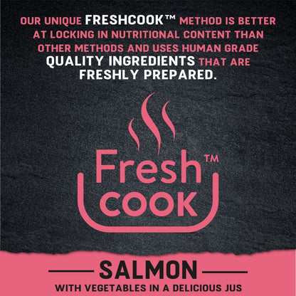 Harringtons Just 6 Salmon Grain Free Wet Dog Food | 70% Freshly Prepared Salmon | 6 Ingredients | Complete Adult | 380g