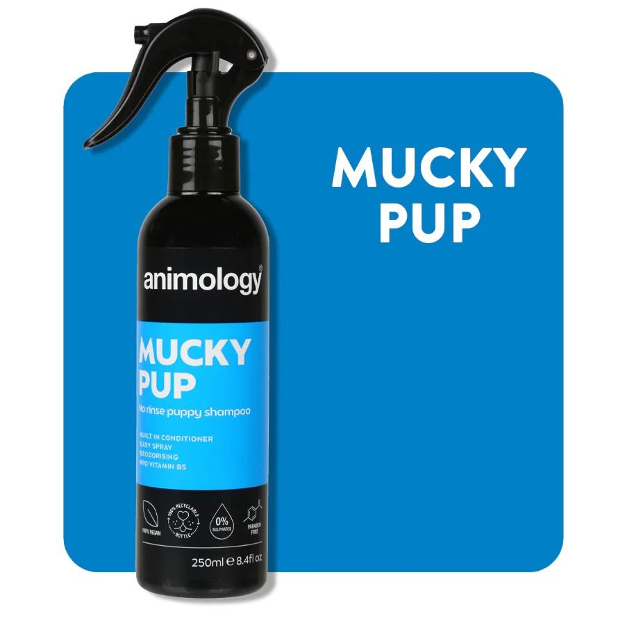 Animology Mucky Pup No Rinse Puppy Shampoo 250ml | Waterless Puppy Shampoo | Quick Coat Cleaning & Freshening