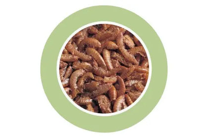 Padovan Gammarus 100ml (12g) | Natural Dried Shrimp Snack for Turtles & Reptiles
