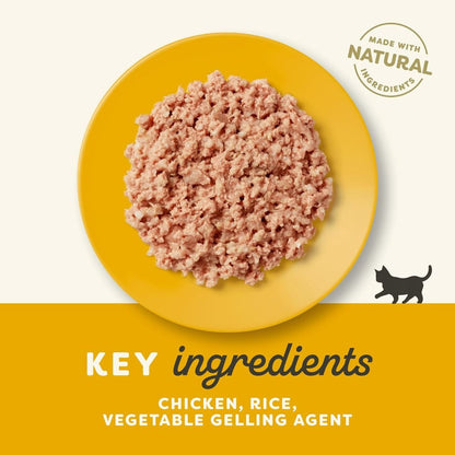 Applaws Natural Kitten Food | Chicken in Jelly | Made with Natural Ingredients | for Kittens up to 12 Months | 70g