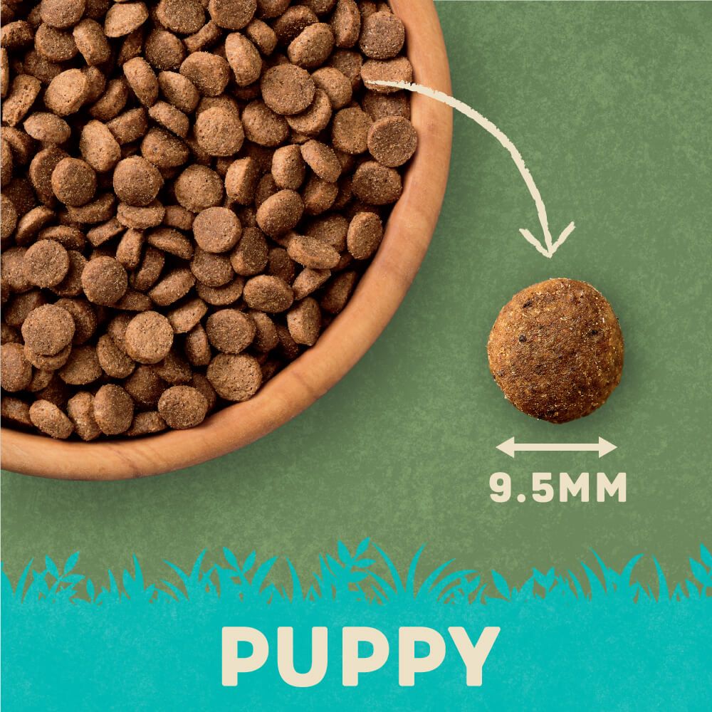 Harringtons Puppy Turkey & Rice Dry Dog Food | High Meat | Freshly Prepared Turkey | Smaller Kibble | Complete | 1.7kg-10kg