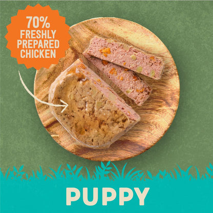 Harringtons Tasty Chicken & Farm-Grown Veg Grain Free Wet Dog Food | Complete Adult | 400g