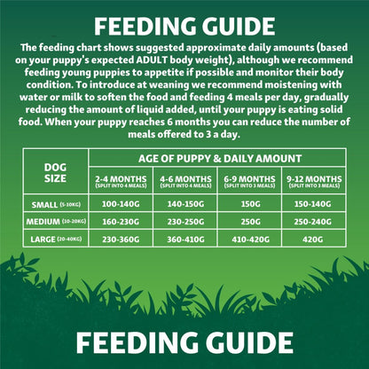 Harringtons Superfoods Puppy Chicken & Vegetables Grain Free | Freshly Prepared Chicken | 6 Superfoods | Sensitive Stomachs | 1.7kg-10kg