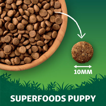 Harringtons Superfoods Puppy Chicken & Vegetables Grain Free | Freshly Prepared Chicken | 6 Superfoods | Sensitive Stomachs | 1.7kg-10kg