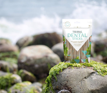 Tribal Dental Sticks Small | Vegan | Phytodent™ Seaweed Complex | Reduces Plaque | Dogs up to 15kg | 7x13g (91g)