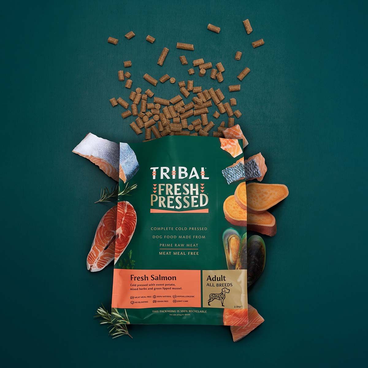 Tribal Fresh Salmon Cold Pressed Dog Food | 70% Salmon | Meat Meal Free | Grain Free | No Bloating | Adult All Breeds | 2.5kg-12kg