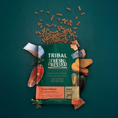 Tribal Fresh Salmon Cold Pressed Dog Food | 70% Salmon | Meat Meal Free | Grain Free | No Bloating | Adult All Breeds | 2.5kg-12kg